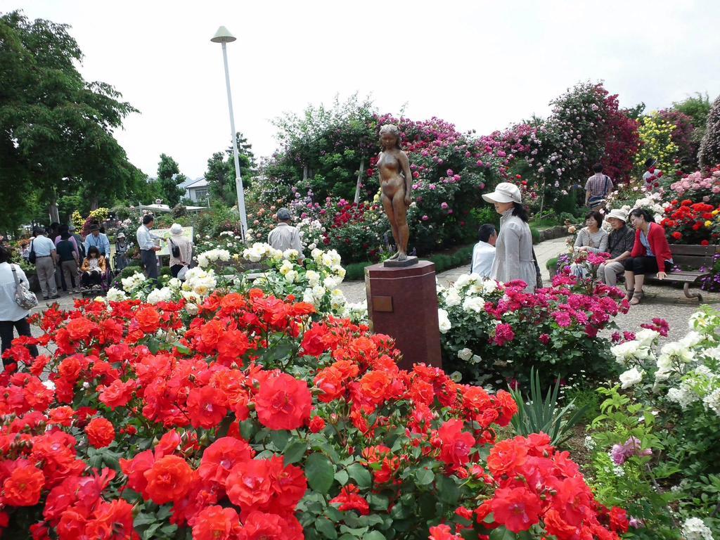 Shiga Park Hotel Yamanouchi  Luaran gambar