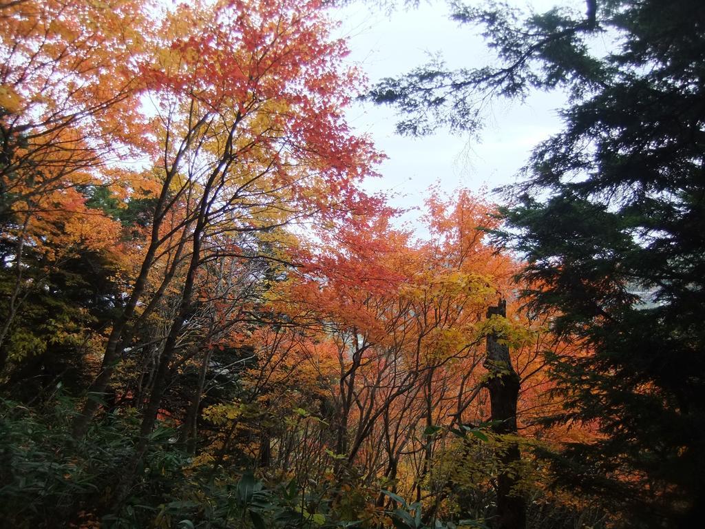 Shiga Park Hotel Yamanouchi  Luaran gambar