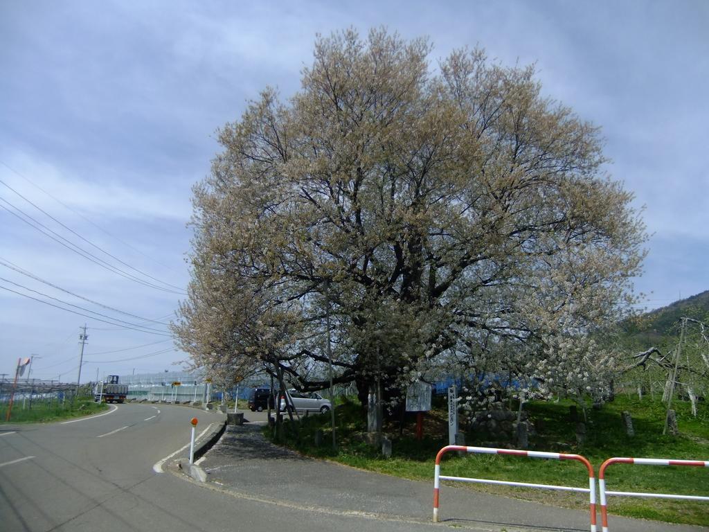 Shiga Park Hotel Yamanouchi  Luaran gambar