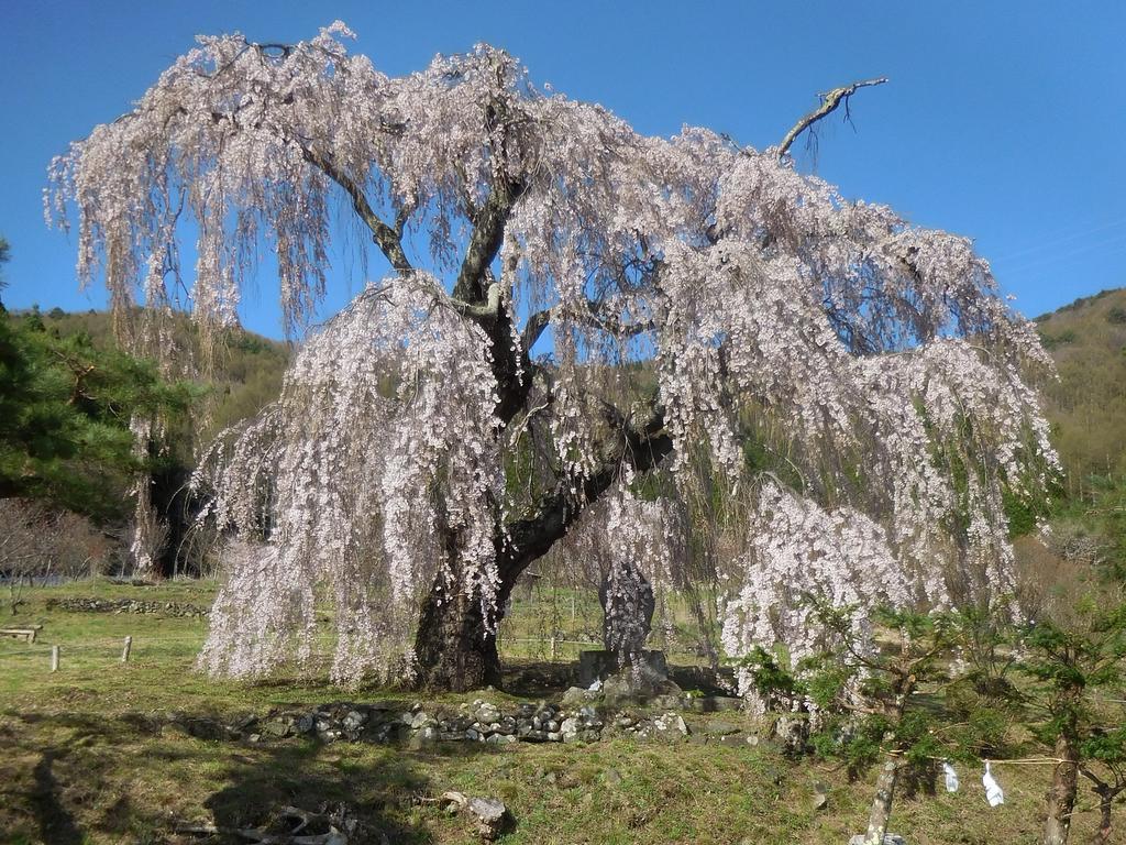 Shiga Park Hotel Yamanouchi  Luaran gambar